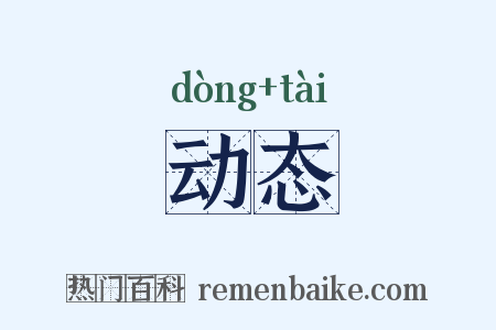 动态是什么意思的图片